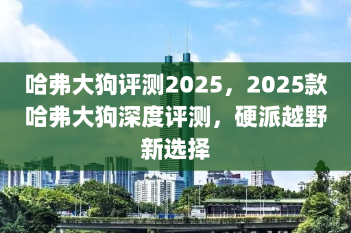 哈弗大狗評測2025，2025款哈弗大狗深度評測，硬派越野新選擇