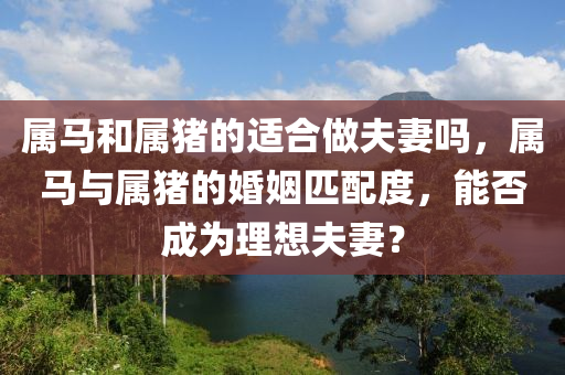 屬馬和屬豬的適合做夫妻嗎，屬馬與屬豬的婚姻匹配度，能否成為理想夫妻？