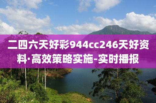 二四六天好彩944cc246天好資料·高效策略實施