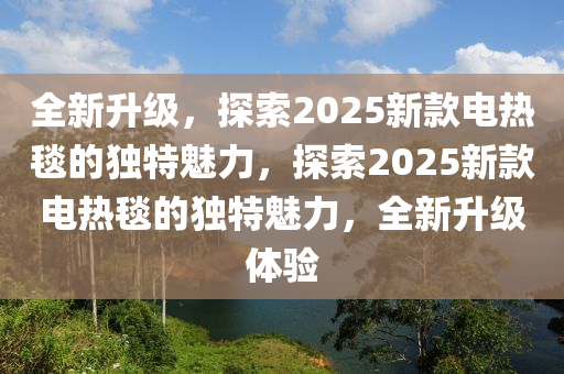 2025新款電熱毯