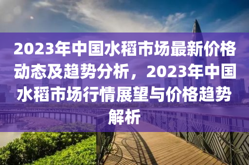 2023年中國(guó)水稻市場(chǎng)最新價(jià)格動(dòng)態(tài)及趨勢(shì)分析，2023年中國(guó)水稻市場(chǎng)行情展望與價(jià)格趨勢(shì)解析