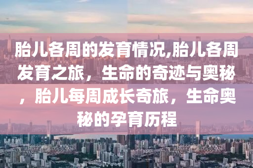 胎儿各周的发育情况,胎儿各周发育之旅，生命的奇迹与奥秘，胎儿每周成长奇旅，生命奥秘的孕育历程