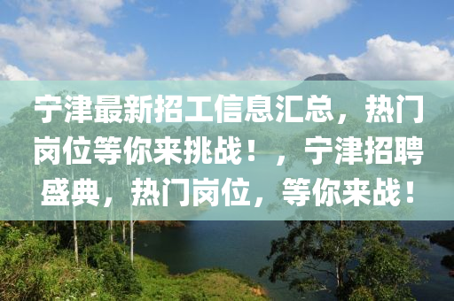 寧津最新招工信息匯總，熱門崗位等你來挑戰(zhàn)！，寧津招聘盛典，熱門崗位，等你來戰(zhàn)！