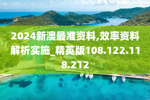 2024新澳最準(zhǔn)資料,效率資料解析實(shí)施_精英版108.122.118.212