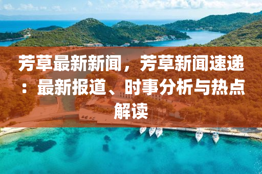 芳草最新新聞，芳草新聞速遞：最新報(bào)道、時(shí)事分析與熱點(diǎn)解讀