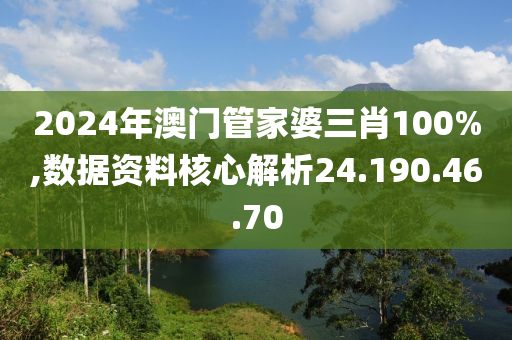 2024年澳門管家婆三肖100%,數(shù)據(jù)資料核心解析24.190.46.70