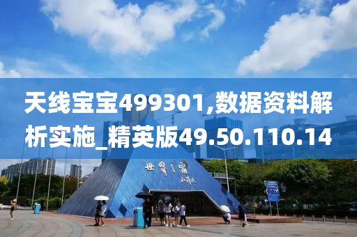 天線寶寶499301,數(shù)據資料解析實施_精英版49.50.110.14