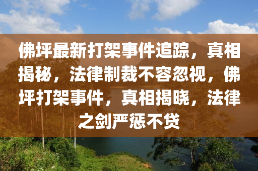 佛坪最新打架事件追蹤，真相揭秘，法律制裁不容忽視，佛坪打架事件，真相揭曉，法律之劍嚴(yán)懲不貸