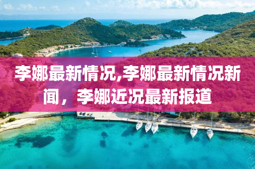 李娜最新情況,李娜最新情況新聞，李娜近況最新報道