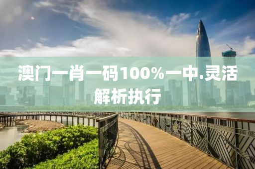 澳門(mén)一肖一碼100%一中.靈活解析執(zhí)行