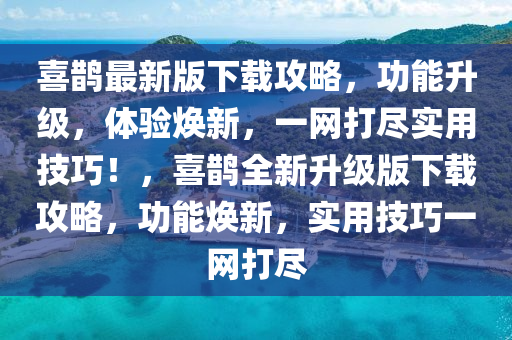 喜鵲最新版下載攻略，功能升級(jí)，體驗(yàn)煥新，一網(wǎng)打盡實(shí)用技巧！，喜鵲全新升級(jí)版下載攻略，功能煥新，實(shí)用技巧一網(wǎng)打盡