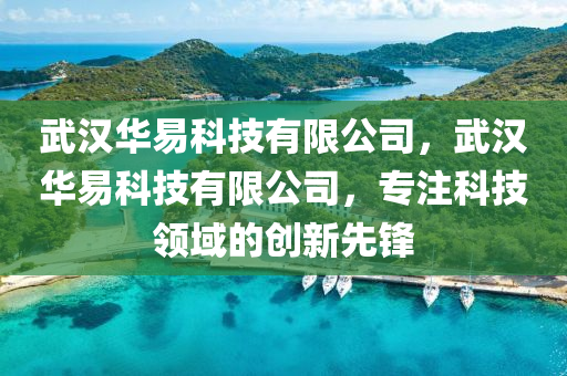 武汉华易科技有限公司，武汉华易科技有限公司，专注科技领域的创新先锋