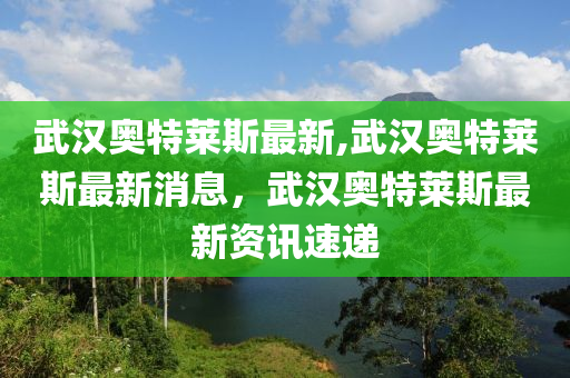 武漢奧特萊斯最新,武漢奧特萊斯最新消息，武漢奧特萊斯最新資訊速遞