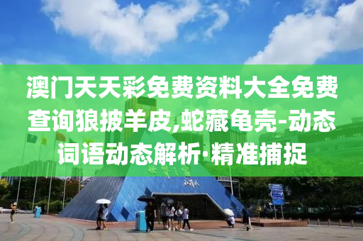 澳門(mén)天天彩免費(fèi)資料大全免費(fèi)查詢(xún)狼披羊皮