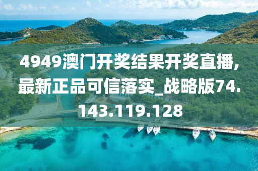 4949澳门开奖结果开奖直播,最新正品可信落实_战略版74.143.119.128