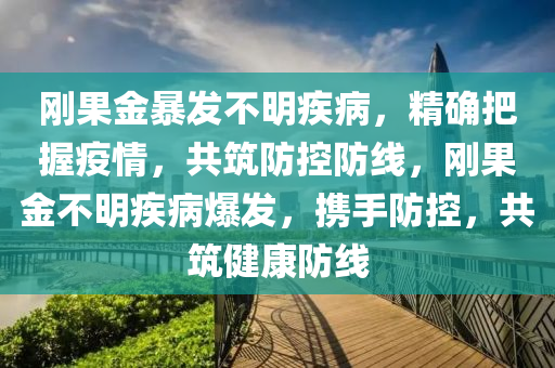 剛果金暴發(fā)不明疾病，精確把握疫情，共筑防控防線，剛果金不明疾病爆發(fā)，攜手防控，共筑健康防線