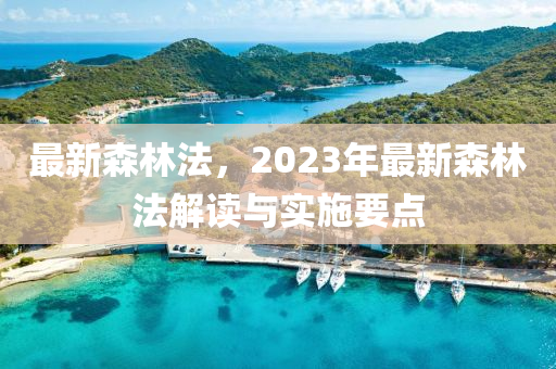 最新森林法，2023年最新森林法解讀與實(shí)施要點(diǎn)