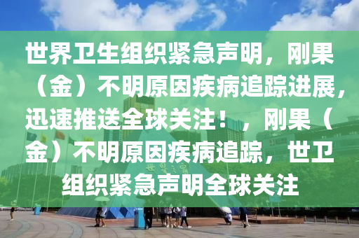 世界衛(wèi)生組織緊急聲明，剛果（金）不明原因疾病追蹤進展，迅速推送全球關注！，剛果（金）不明原因疾病追蹤，世衛(wèi)組織緊急聲明全球關注