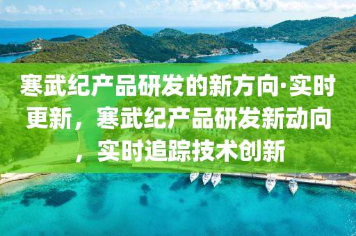 寒武紀產品研發(fā)的新方向·實時更新，寒武紀產品研發(fā)新動向，實時追蹤技術創(chuàng)新