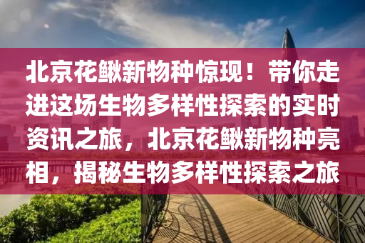 北京花鰍新物種驚現(xiàn)！帶你走進(jìn)這場(chǎng)生物多樣性探索的實(shí)時(shí)資訊之旅，北京花鰍新物種亮相，揭秘生物多樣性探索之旅