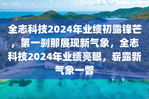 全志科技2024年業(yè)績初露鋒芒，第一剎那展現(xiàn)新氣象，全志科技2024年業(yè)績亮眼，嶄露新氣象一瞥