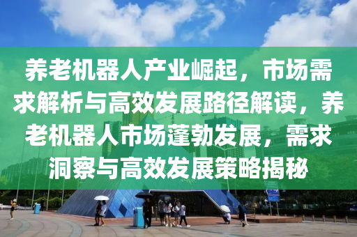 養(yǎng)老機器人產(chǎn)業(yè)崛起，市場需求解析與高效發(fā)展路徑解讀，養(yǎng)老機器人市場蓬勃發(fā)展，需求洞察與高效發(fā)展策略揭秘