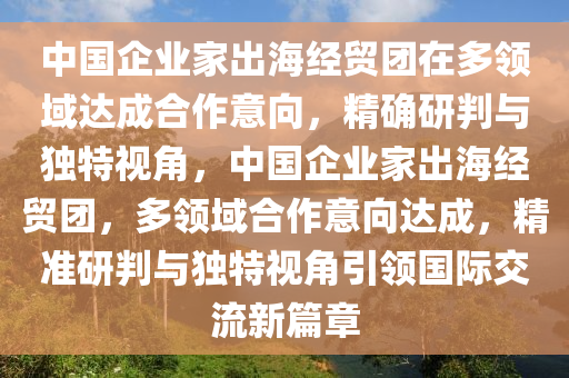 中國企業(yè)家出海經(jīng)貿(mào)團在多領(lǐng)域達成合作意向，精確研判與獨特視角，中國企業(yè)家出海經(jīng)貿(mào)團，多領(lǐng)域合作意向達成，精準研判與獨特視角引領(lǐng)國際交流新篇章