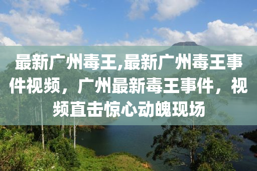 最新廣州毒王,最新廣州毒王事件視頻，廣州最新毒王事件，視頻直擊驚心動魄現(xiàn)場