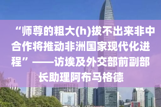 “師尊的粗大(h)拔不出來非中合作將推動非洲國家現(xiàn)代化進程”——訪埃及外交部前副部長助理阿布馬格德