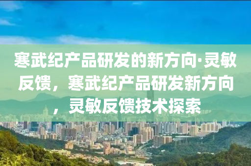 寒武紀產品研發(fā)的新方向·靈敏反饋，寒武紀產品研發(fā)新方向，靈敏反饋技術探索