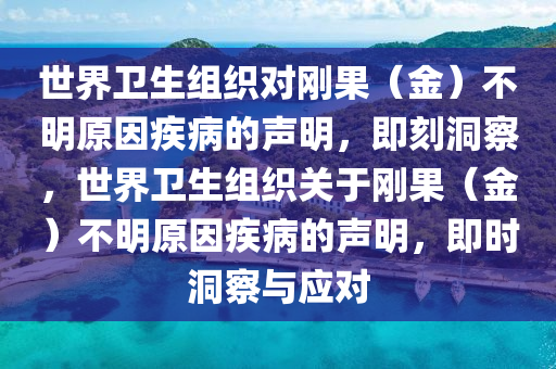 世界衛(wèi)生組織對剛果（金）不明原因疾病的聲明，即刻洞察，世界衛(wèi)生組織關(guān)于剛果（金）不明原因疾病的聲明，即時洞察與應(yīng)對