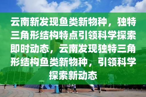 云南新發(fā)現(xiàn)魚類新物種，獨(dú)特三角形結(jié)構(gòu)特點(diǎn)引領(lǐng)科學(xué)探索即時(shí)動(dòng)態(tài)，云南發(fā)現(xiàn)獨(dú)特三角形結(jié)構(gòu)魚類新物種，引領(lǐng)科學(xué)探索新動(dòng)態(tài)