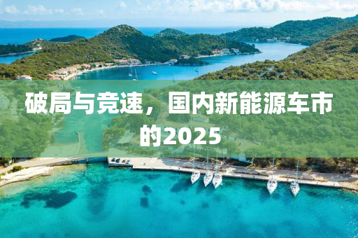 破局與競速，國內(nèi)新能源車市的2025