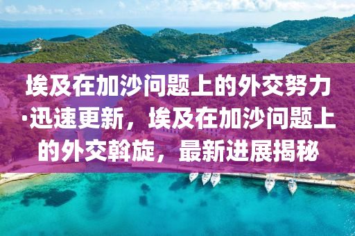 埃及在加沙問題上的外交努力·迅速更新，埃及在加沙問題上的外交斡旋，最新進(jìn)展揭秘