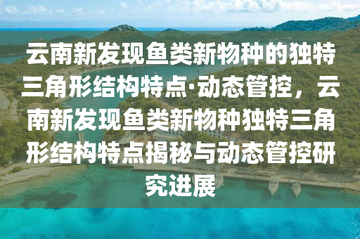 云南新發(fā)現(xiàn)魚類新物種的獨特三角形結(jié)構(gòu)特點·動態(tài)管控，云南新發(fā)現(xiàn)魚類新物種獨特三角形結(jié)構(gòu)特點揭秘與動態(tài)管控研究進(jìn)展