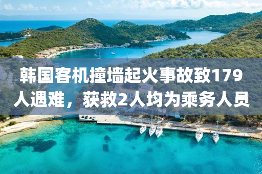 韓國(guó)客機(jī)撞墻起火事故致179人遇難，獲救2人均為乘務(wù)人員