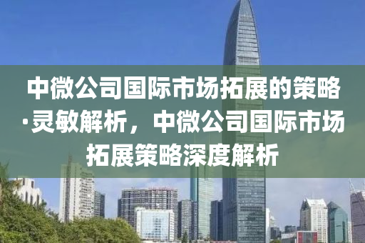 中微公司國際市場拓展的策略·靈敏解析，中微公司國際市場拓展策略深度解析