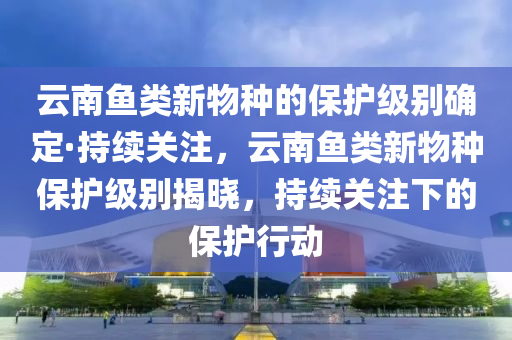 云南魚類新物種的保護(hù)級別確定·持續(xù)關(guān)注，云南魚類新物種保護(hù)級別揭曉，持續(xù)關(guān)注下的保護(hù)行動(dòng)