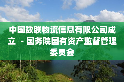 中國數(shù)聯(lián)物流信息有限公司成立 －國務院國有資產(chǎn)監(jiān)督管理委員會