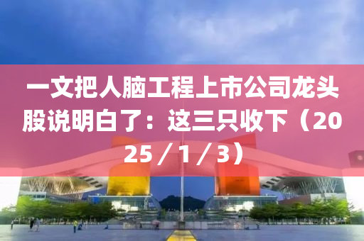 一文把人腦工程上市公司龍頭股說(shuō)明白了：這三只收下（2025／1／3）