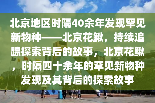 北京地區(qū)時隔40余年發(fā)現(xiàn)罕見新物種——北京花鰍，持續(xù)追蹤探索背后的故事，北京花鰍，時隔四十余年的罕見新物種發(fā)現(xiàn)及其背后的探索故事