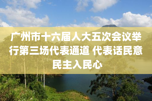 廣州市十六屆人大五次會議舉行第三場代表通道 代表話民意 民主入民心