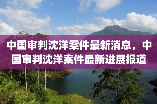 中國審判沈洋案件最新消息，中國審判沈洋案件最新進(jìn)展報(bào)道