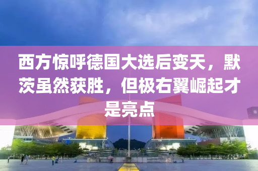 西方驚呼德國大選后變天，默茨雖然獲勝，但極右翼崛起才是亮點