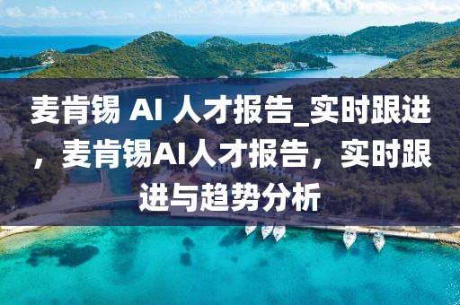 麥肯錫 AI 人才報告_實時跟進，麥肯錫AI人才報告，實時跟進與趨勢分析