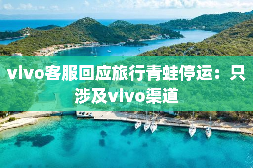 vivo客服回應(yīng)旅行青蛙停運：只涉及vivo渠道