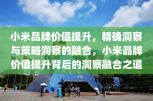 小米品牌價值提升，精確洞察與策略洞察的融合，小米品牌價值提升背后的洞察融合之道