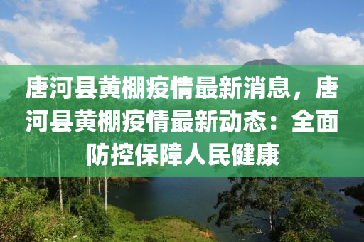 唐河縣黃棚疫情最新消息，唐河縣黃棚疫情最新動(dòng)態(tài)：全面防控保障人民健康