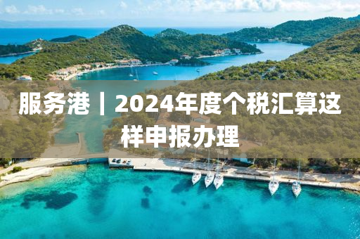 服務(wù)港｜2024年度個(gè)稅匯算這樣申報(bào)辦理