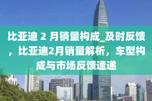 比亞迪 2 月銷量構(gòu)成_及時(shí)反饋，比亞迪2月銷量解析，車型構(gòu)成與市場(chǎng)反饋速遞